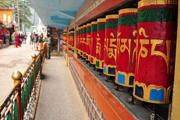 Amritsar to Dharamshala (Mcleodganj) Tour